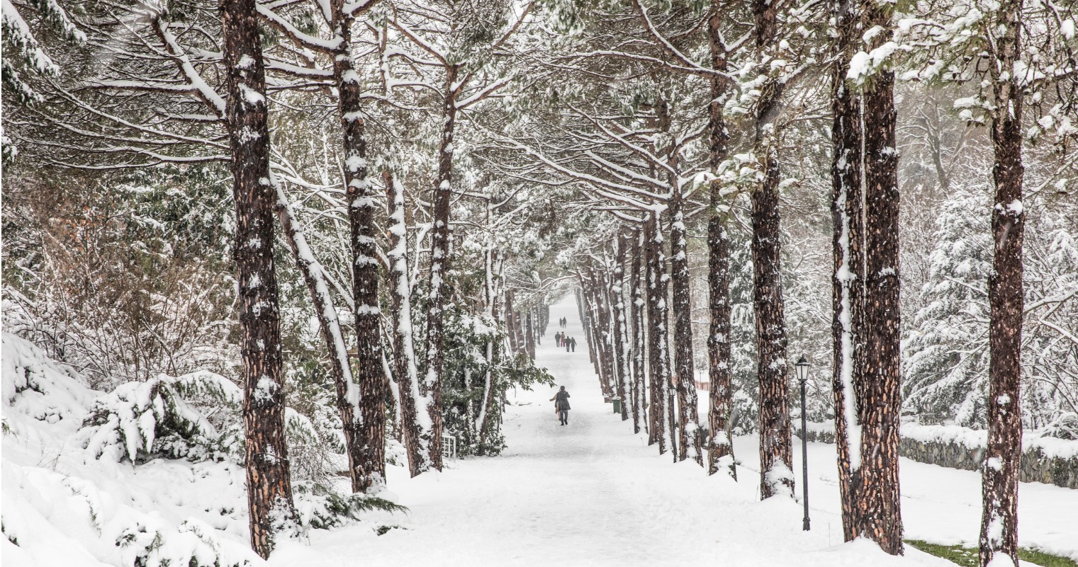 ataturk-arboretum-kis