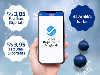 Anında Ticari Yeni Yıl Kredisi